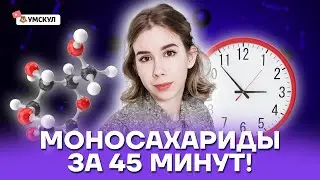 Моносахариды за 45 минут | Химия ЕГЭ 10 класс | Умскул