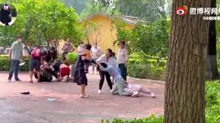 Family Fighting at Beijing Safari Park