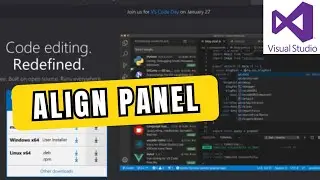 How to Align Panel in Visual Studio Code 2025?