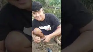 Di sini ikanya bebar besar ..rugi kalo ga kesini
