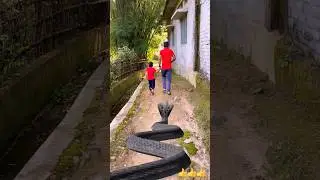 Don’t miss the end🤪🤪 #tranding #funny #shortsvideo #shortsfeed #shorts 🤪🤪