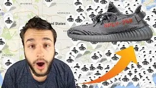 The 