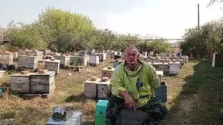 Мы на дзене