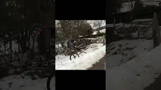 Escaping the Jerry pasture