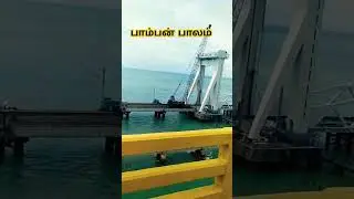 பாம்பன் பாலம் #trendingvideo #thiruvannamalai #comedy #travelshorts #tamilsong