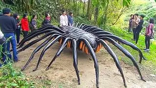 Strange Creatures That Got Caught On Camera And Shocked the Whole World