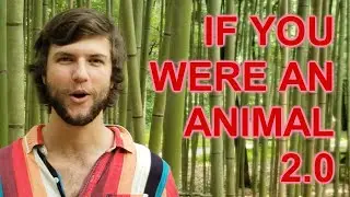 If You Were an Animal Too Point Oh - Official Music Video
