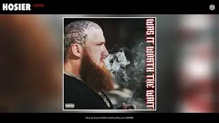 Hosier - Vibes (Official Audio)