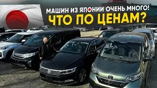 Авто из Японии - ТОП октября 2024 🔥 Самые заказываемые модели месяца❗️