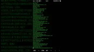 ip logger