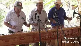El tacuacin..Hermanos Guerra