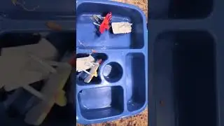 This is what my daughter ate from the lunch I made her  #sushi #lunchbox #whatsheate #bellabooslunch