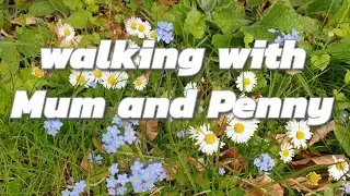 Come for a walk with Mum and Penny in the woods