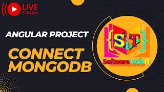 Seamless Integration: Connecting Angular with MongoDB for Data  | Angular MongoDB Connection | node