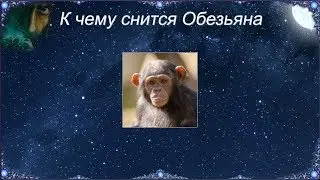 К чему снится Обезьяна (Сонник)