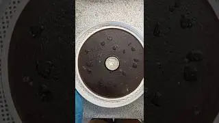БАНАНОВАЯ ПАСТИЛА #пастила #пастилабезсахара #фруктоваяпастила