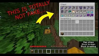 Minecraft YouTuber speedruns be like...