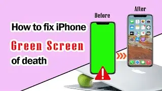 Top 5 Ways to Fix iPhone Green Screen of Death-[Steps By Steps]