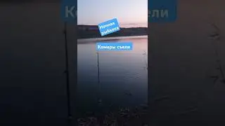 Комары съели меня до туфель