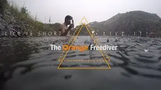 Freediving Komati Springs South Africa