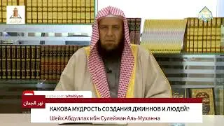 Какова мудрость создания джиннов и людей? Шейх Абдуллах Аль-Муханна (да хранит его Аллах).