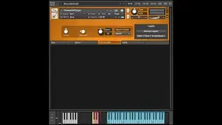 Pettinhouse AcousticGuitar 2 .1\ Guitar Sound \ Kontakt 5, 6 \ Presets 🇺🇦 🌏
