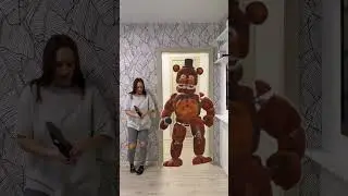 Freddy in my home 