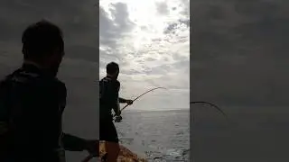 Peleas épicas