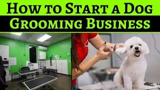How to Start a Dog Grooming Business || Pet Grooming Business Plan