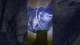 Балик ови, Толик видео каналимизда.