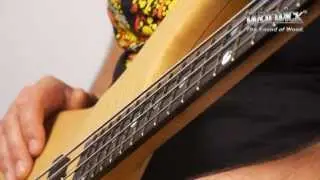 The Warwick Katana NT