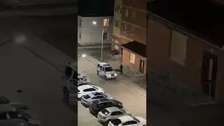 Вежливость подмосковных полицецских