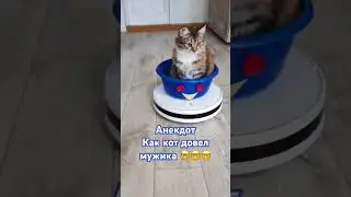 Кот довел мужика 🤣🤣🤣 #анекдот #ржач #жиза #смех