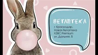 Зоомагазин Краснодар . Ветаптека Краснодар . Новая Ветаптека КЗВС Premium