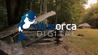 Wildlife Nature Content Logo Ident – Alan's YouTube Channel – Blue Orca Digital TV