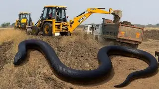 New Jcb 3dx Backhoe Loading Mud Tata Truck | Jcb Truck Loading | Mud Loading Truck | Jcb Video