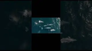 Shark Showreel 2023 | We are Unlimited
