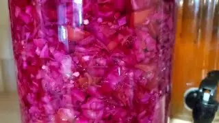 How to Make Habanero Sauerkraut