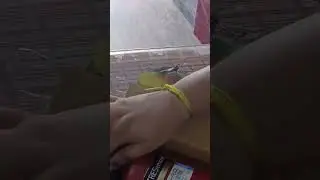 online shopping 