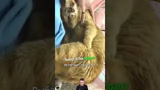 поменяла жизнь на До и ПОСЛЕ