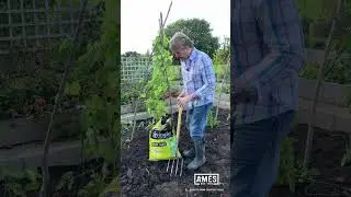 David Domoney: AMES Garden Tips - Add organic matter to improve soil