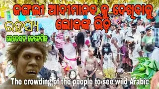 ଜଙ୍ଗଲୀ ଆଦୀମାନବ କୁ ଦେଖିବାକୁ ଲୋକଙ୍କ ଭିଡ଼ || The Crowding Of The People To See Wild Arabic