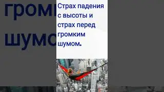 Факт о страхе / Страх