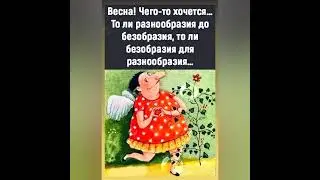 О нас - девочках с юмором и позитивом 🧚