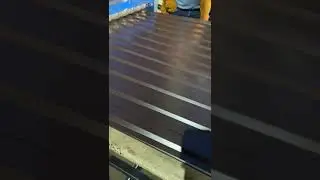 30 июня 2024 г.