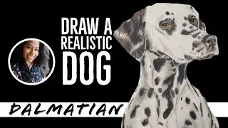 Draw a realistic dog | Dalmatian | Pencil colors | #10 of #dogseries | Sruthy Sk