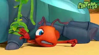 Stuck on You | Antiks 🐜 | Funny Cartoons for Kids