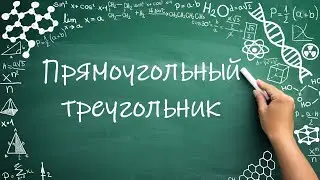Прямоугольный треугольник (7 класс) #обучение #математика #геометрия  #фигуры #углы #свойства