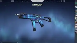 SILVANUS BUNDLE - #VALORANT INDIA #NewSkins