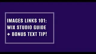 Images Links 101: Wix Studio Guide + Bonus Text Tip!